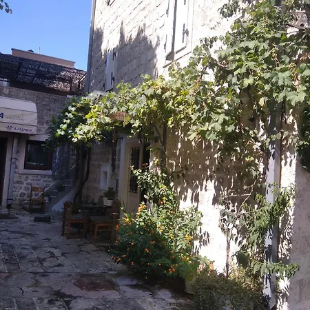 بيت شباب Michel *